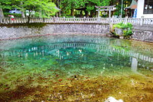 秋吉台の近くにある、別府弁天池