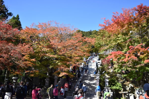 大山のロープウェーをおりた場所にある阿夫利神社