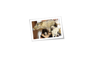 広沢寺温泉の玉翠楼