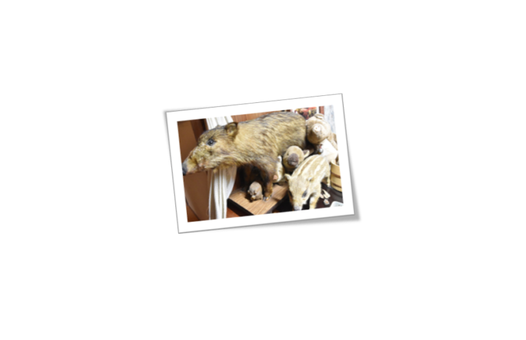 広沢寺温泉の玉翠楼