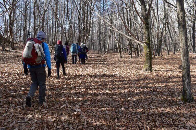 雲取山をめざして緩やかな丘陵地帯を登っている