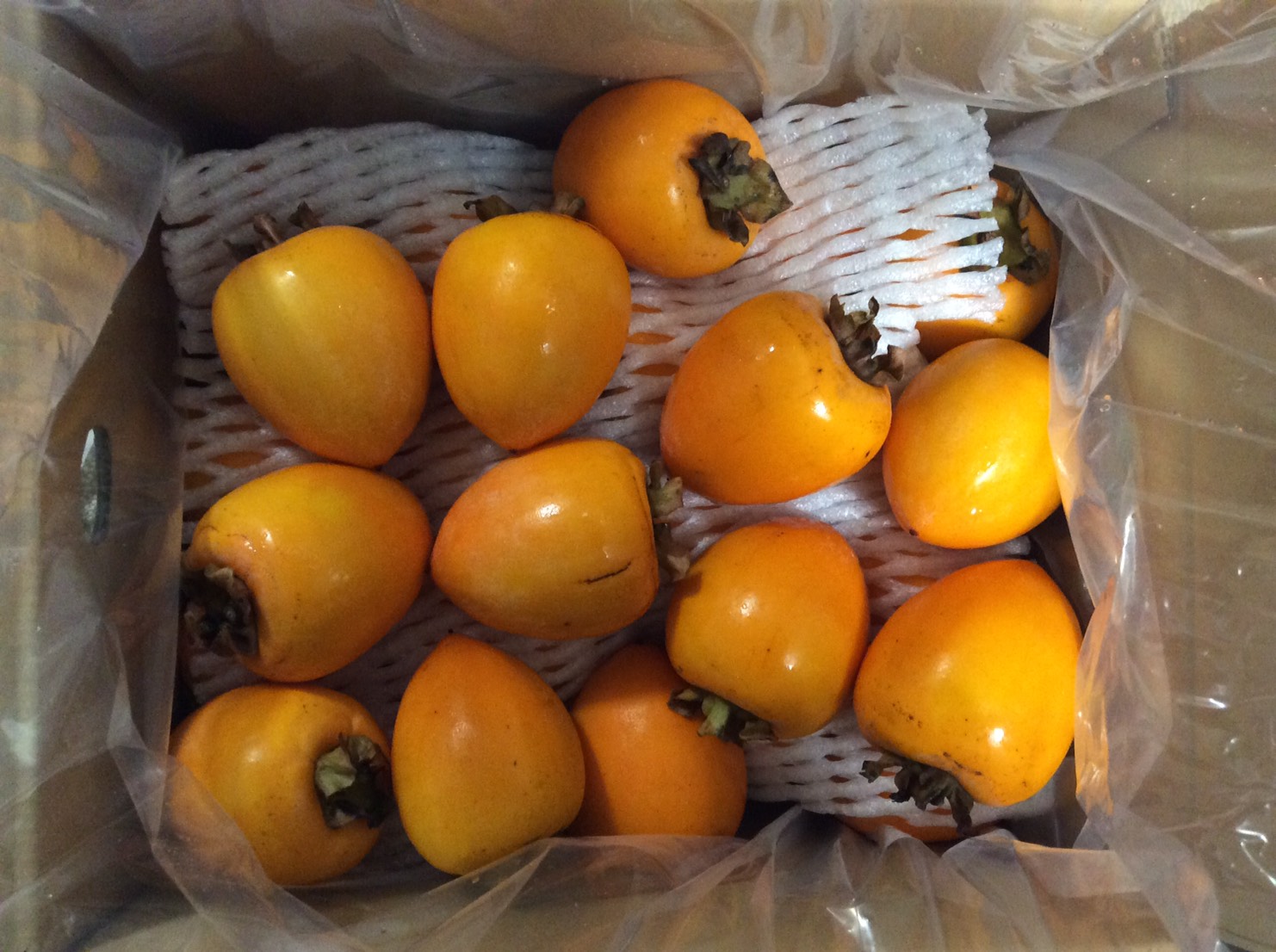 内子柿の袋をあける