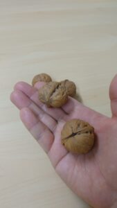 中国の五台山のくるみ