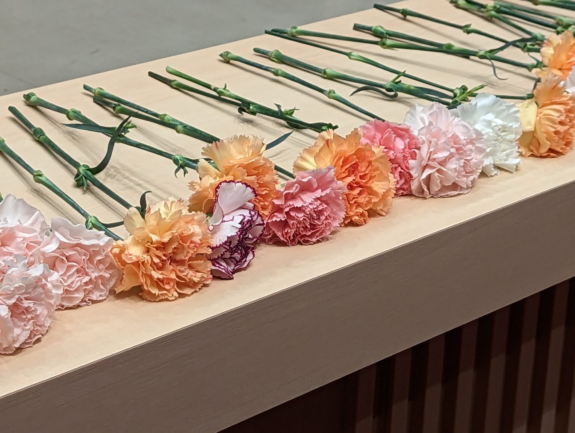 藤田紀子先生のお別れの会