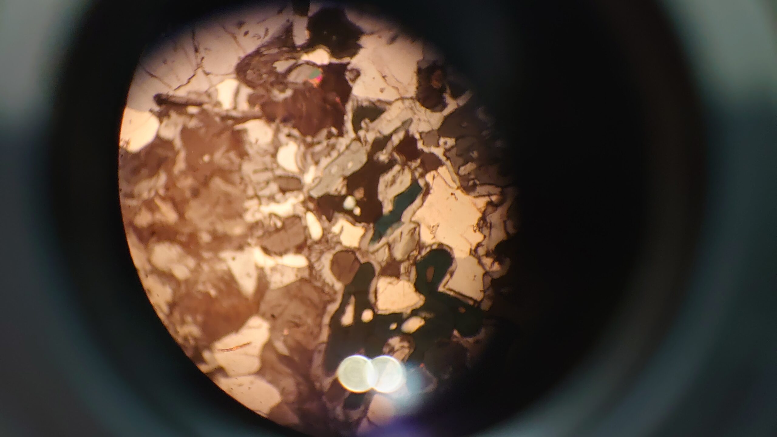 顕微鏡でみた隕石の断面