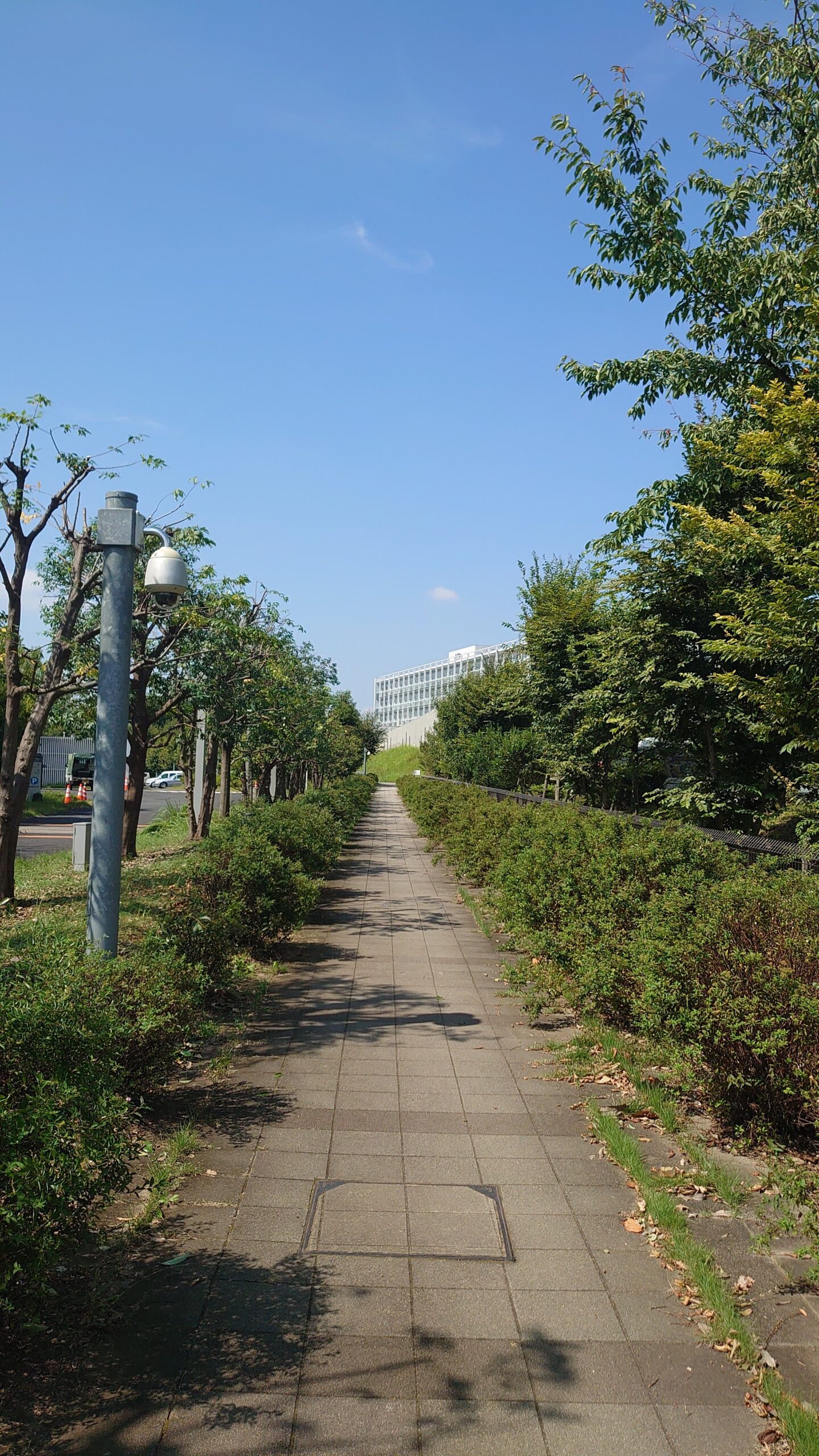 南極・北極科学館への道が分かりにくい