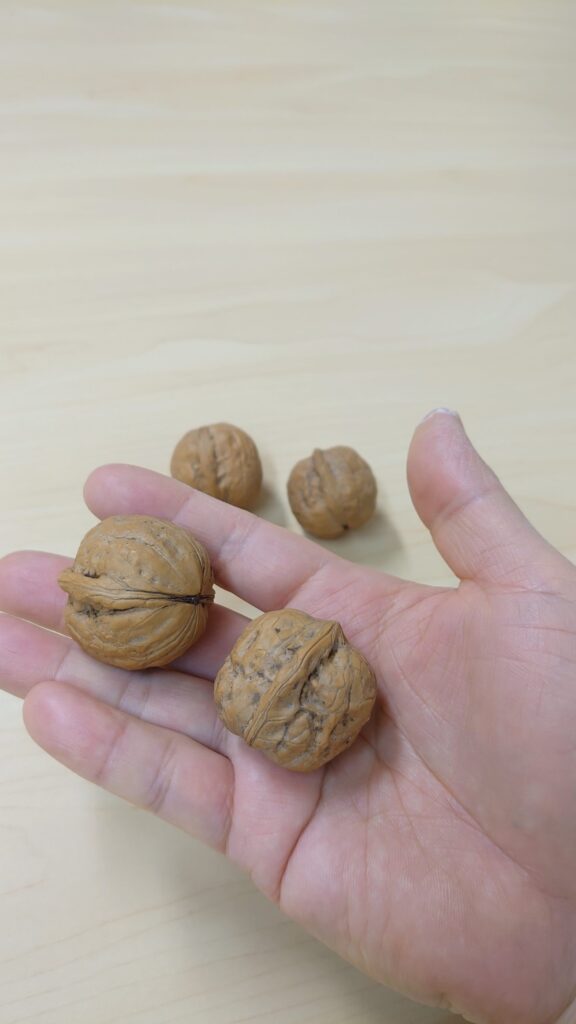 中国の五台山のくるみ