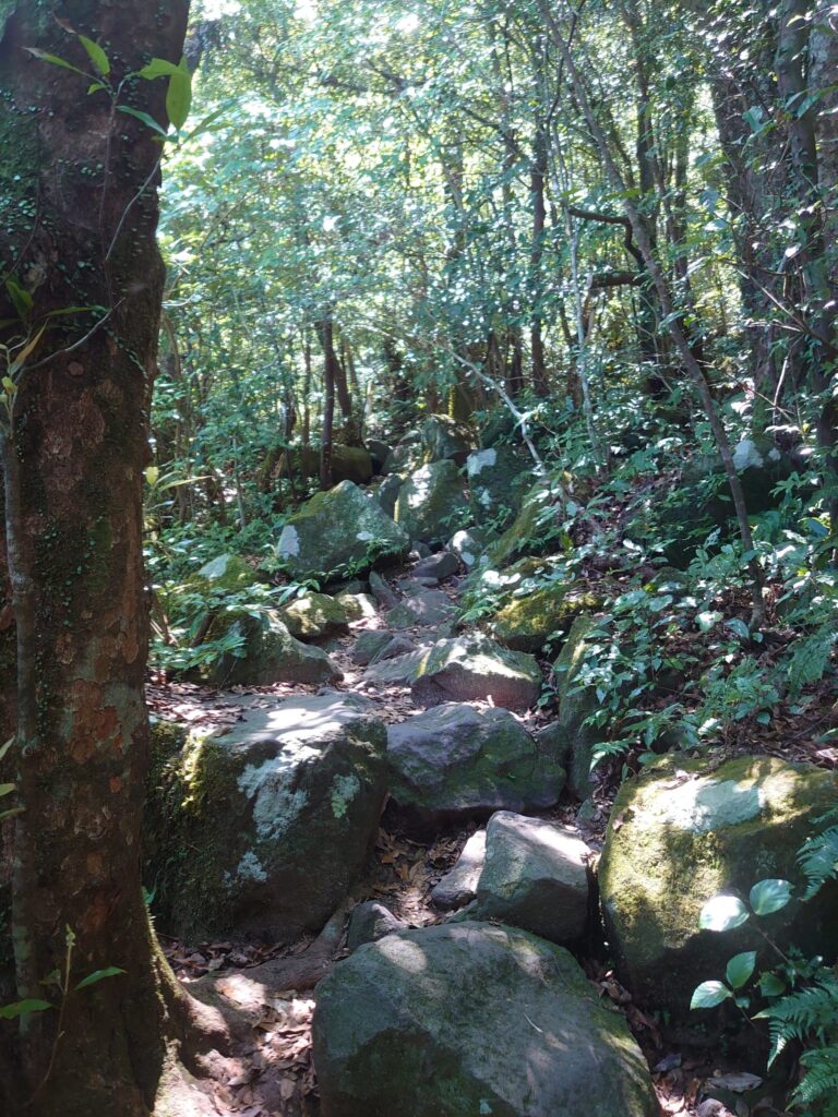 開聞岳の登山道