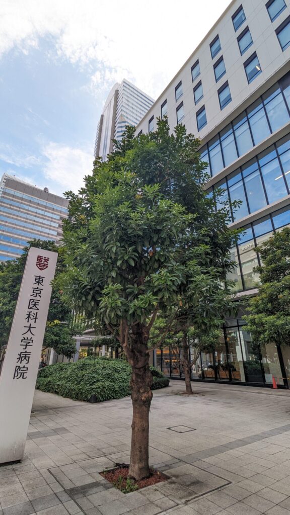 東京医科大学の病院